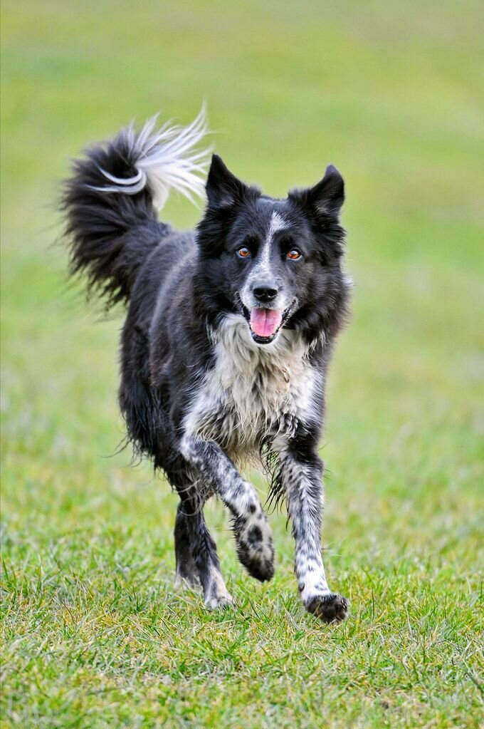 Фото из интернета.