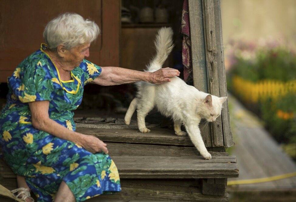 Фото из интернета 