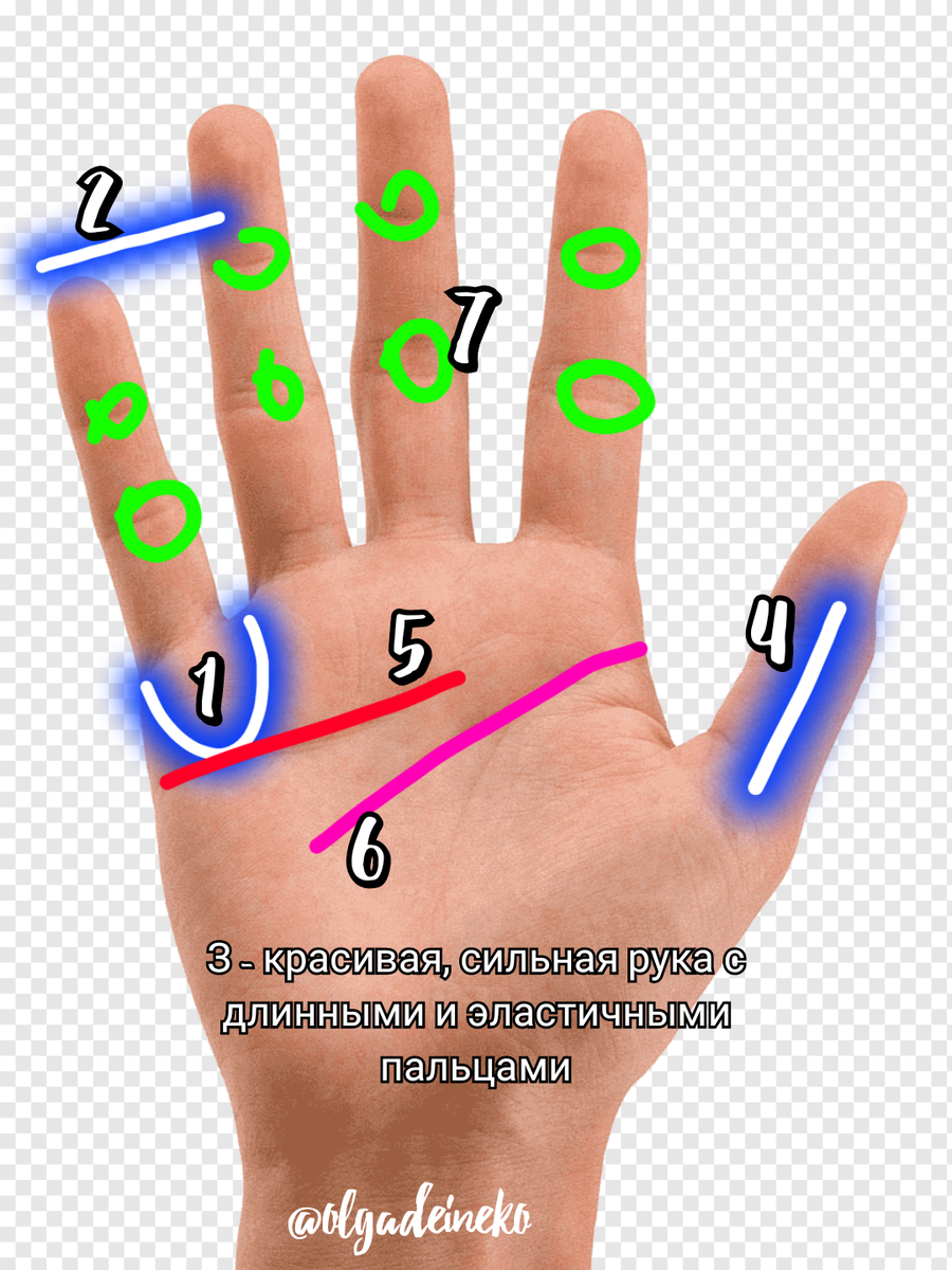 Хирологические знаки Меркурианца. 