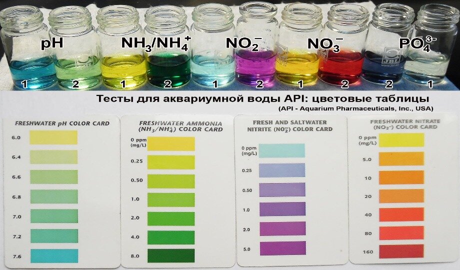 Аквариумные тесты