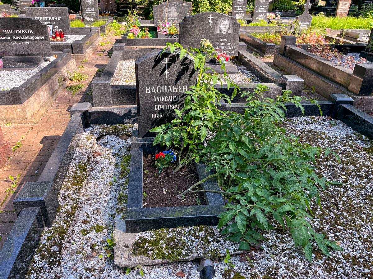 Алексей полуян могила фото Как сложились последние дни Алексея Балабанова. И как выглядит его скромная моги