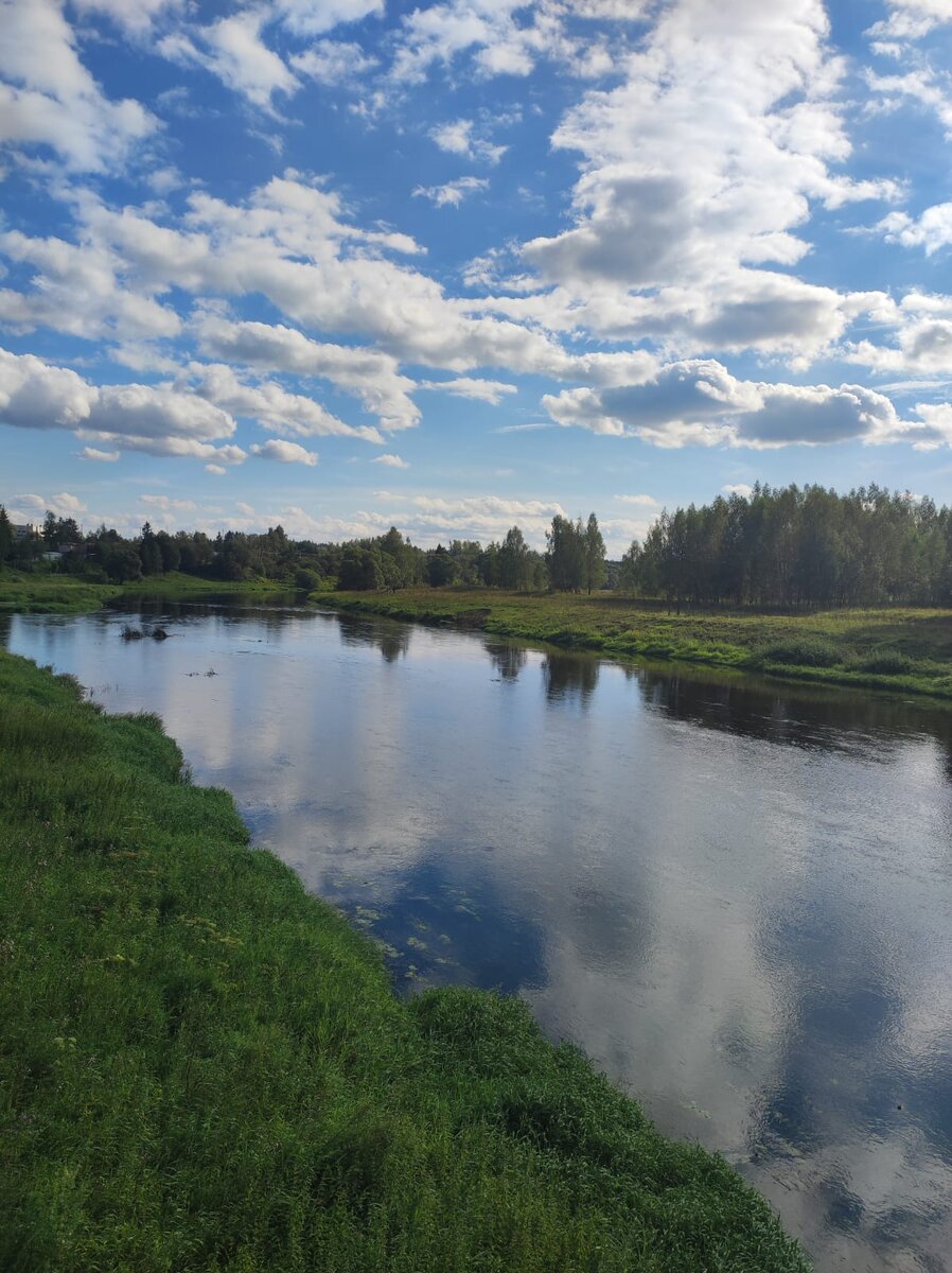 Подмосковье. Фото автора