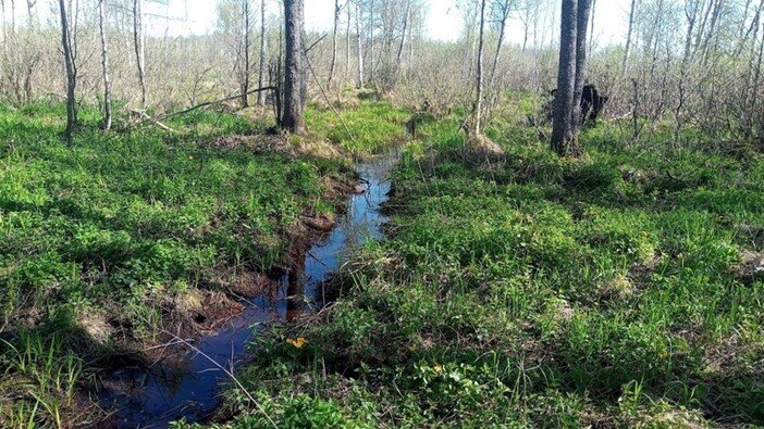 Жиздра река Дубровка.