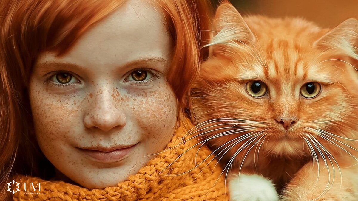 Фото из открытого источника сети интернет.