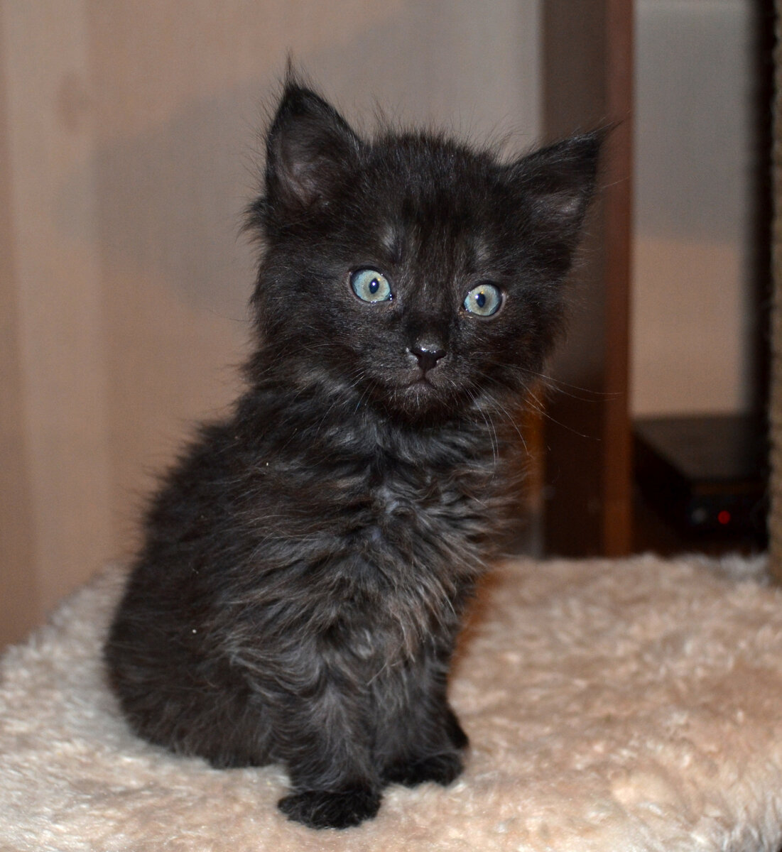 Чудесные глазки