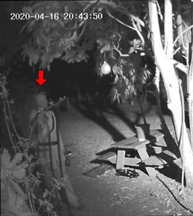 Автор фотографии неизвестен. Фото взято из открытых источников.