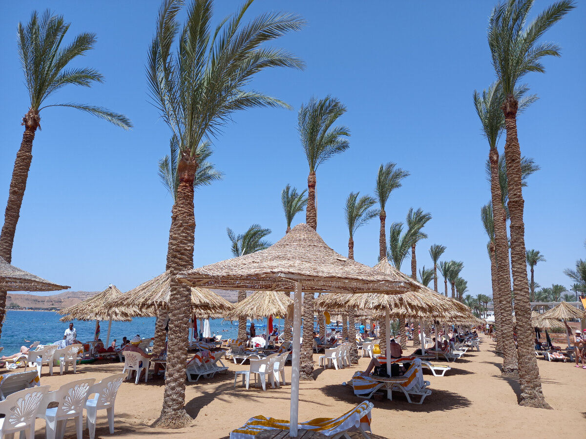 Пляж в отеле Seti Sharm 4*. Шарм-эль-Шейх. Египет.