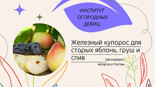 Железный купорос. Для старых и взрослых яблонь , груш и слив...сейчас и весной.