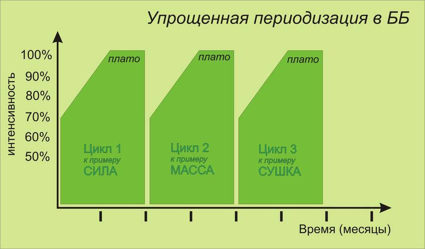 Преимущества периодизации в бодибилдинге