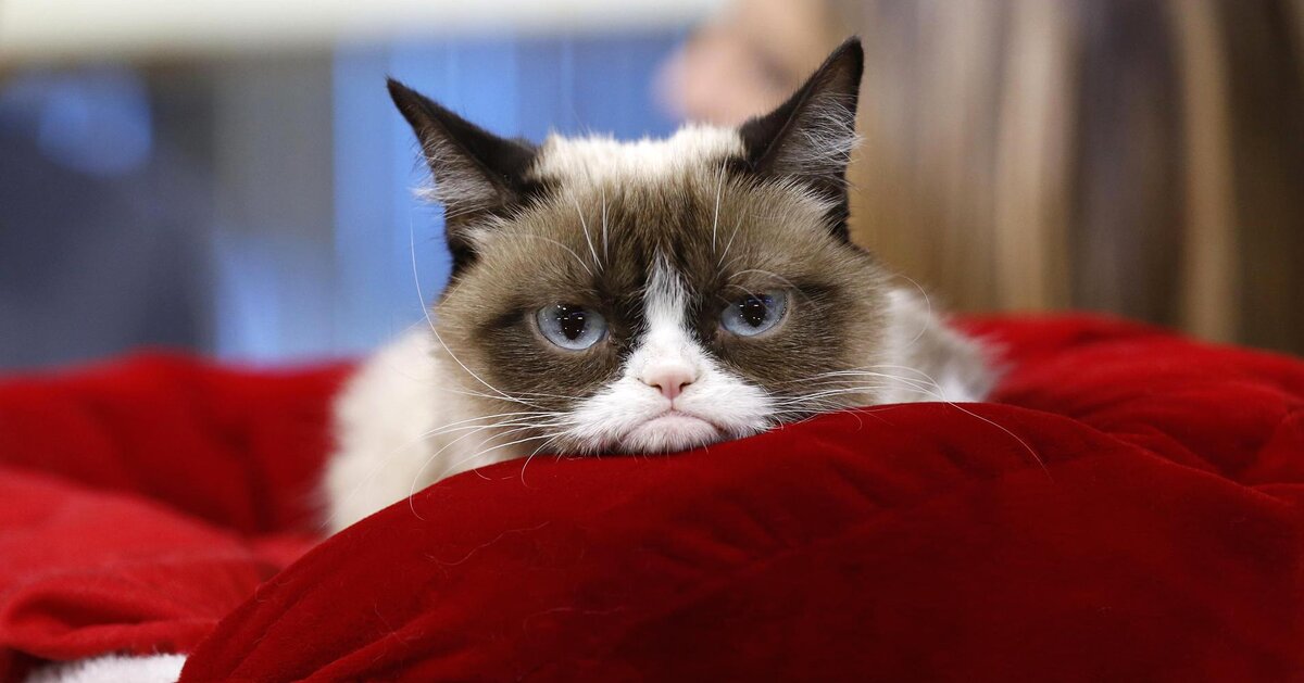 источник Яндекс-картинки