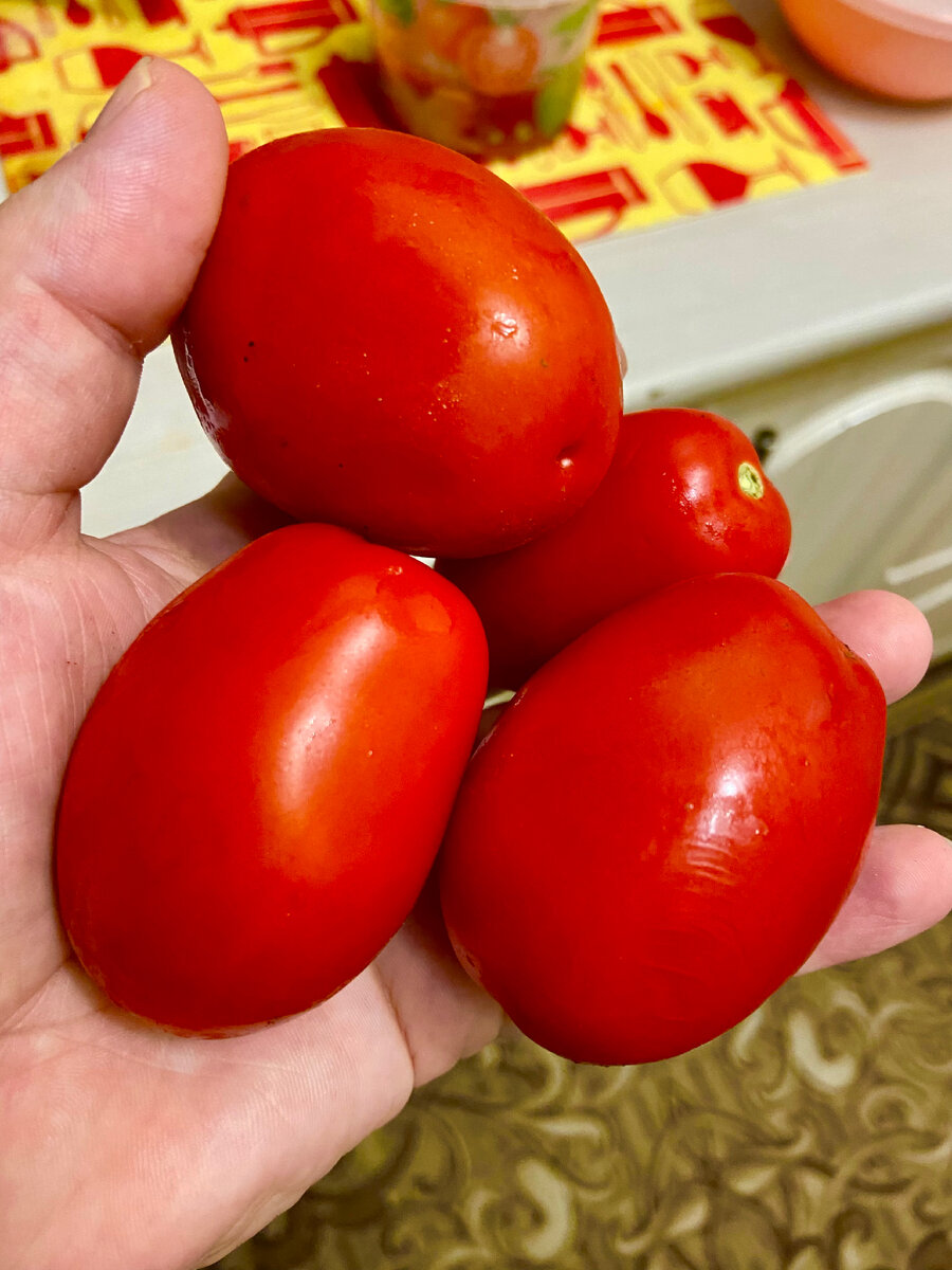 Помидоры сливы