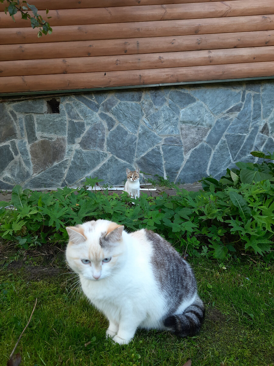 Все фото в статье автора