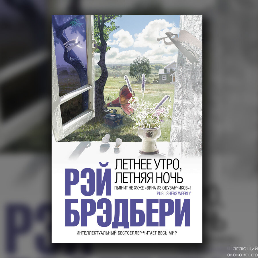 Книга летнее утро. Летняя ночь Рэй Брэдбери. Брэдбери летнее утро летняя ночь. Рэй Брэдбери летнее утро летняя ночь обложка. Обложка книги Рэй Брэдбери. Летнее утро, летняя ночь..