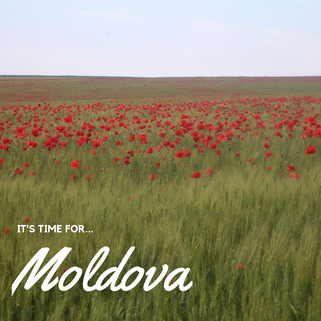 Алые маки в степи... Символ хрупкости и радости