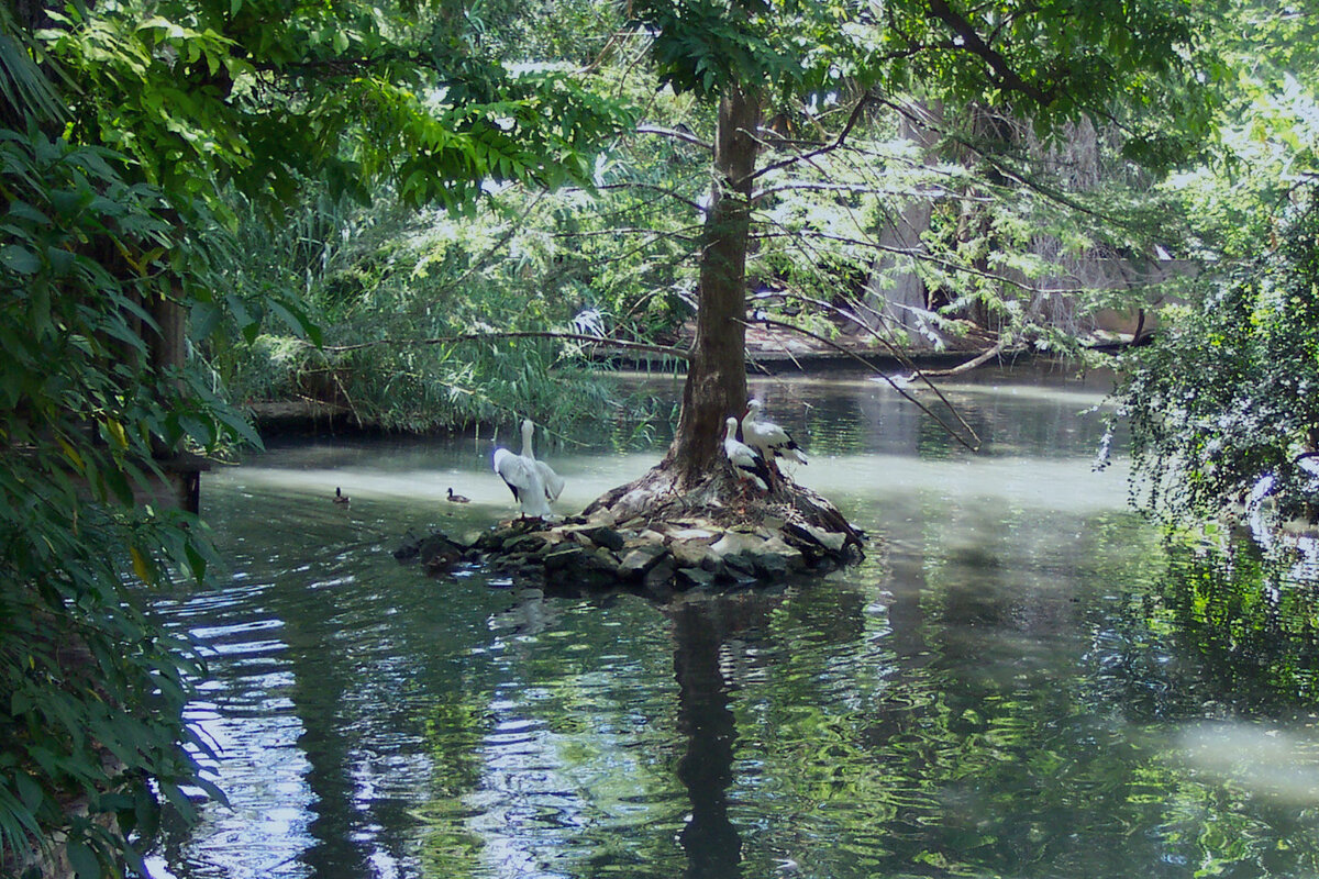 Один из бассейнов Амазонки.
