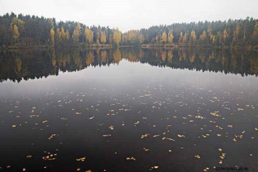 Чертово озеро ленинградская область