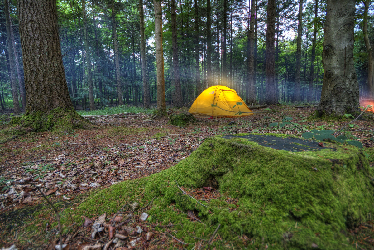 Куда можно поехать с палатками в подмосковье. Лагерь кемпинг Wilderness. Палатка на природе. Лагерь на природе. Обустройство лагеря на природе с палатками.