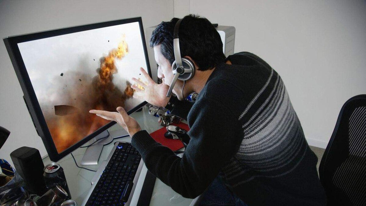 Когда тебя убила муха в Gothic II :D