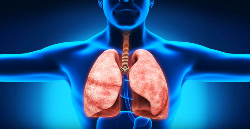 Источник: https://youtu.be/W-r-Hy7CEL4