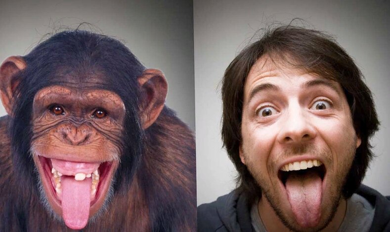 Фото: vchemraznica