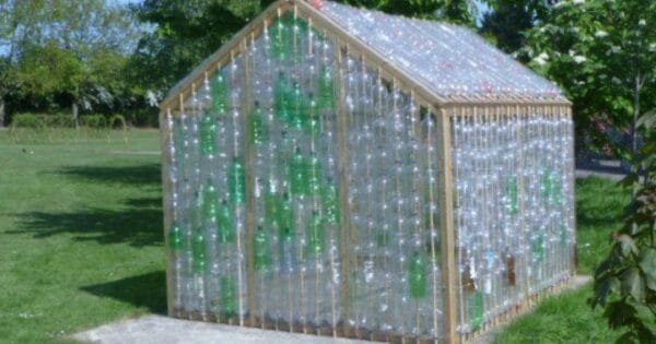 Источник фото: dengarden.com