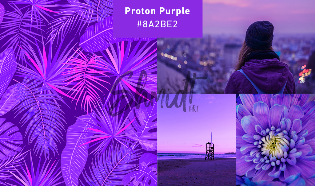 # 8A2BE2
