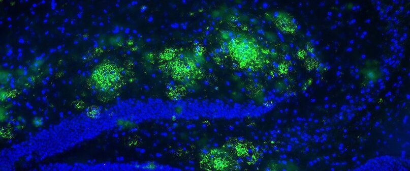Создать карусель             Добавьте описание