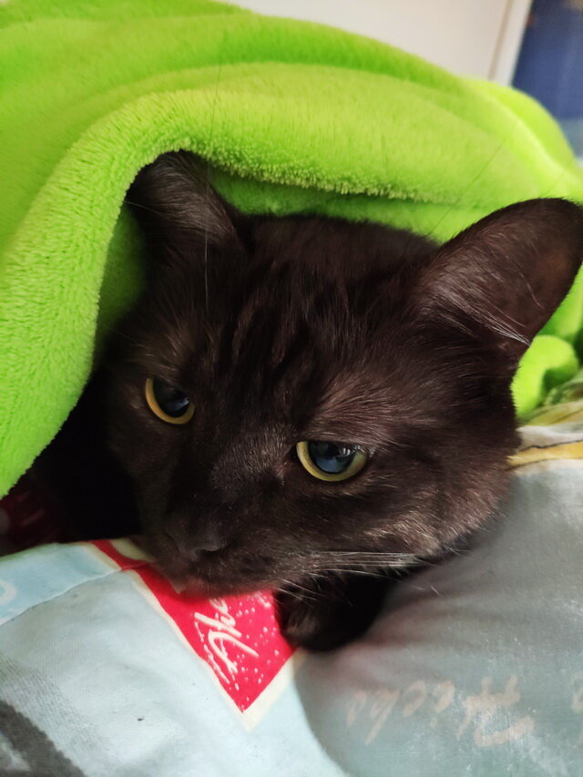 фото из личного архива хозяйки