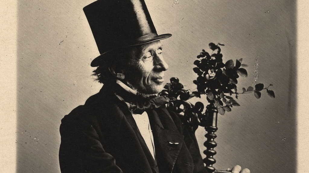 Андерсен очень стеснялся своей внешности и всю жизнь переживал из-за этого