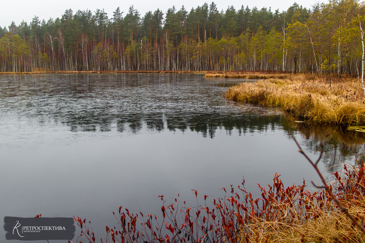 Озеро Бойня в окрестностях поселка Суслонгер. В годы войны здесь размещались склады и прочая инфраструктура 31 ЗСБр.  Источник - https://vk.com/retrospektive