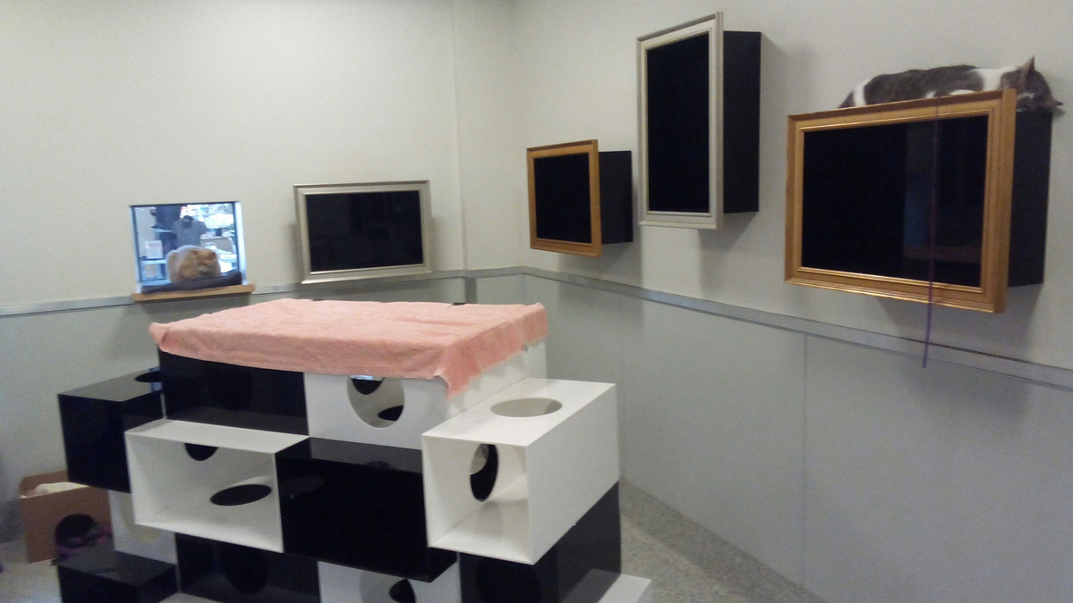 Комната, в которой можно играть с пушистиками. Двое утомились и спят.