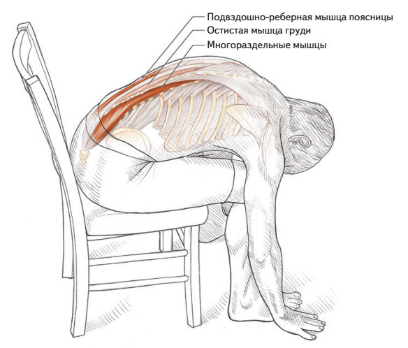 Болит поясница после сидения на стуле что делать