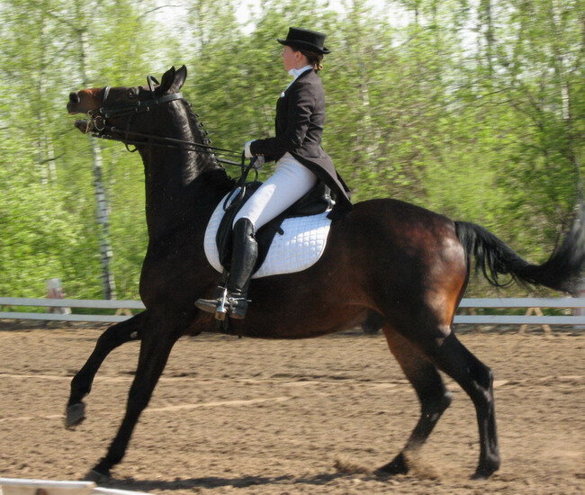 Источник фото сервис Яндекс.Картинки