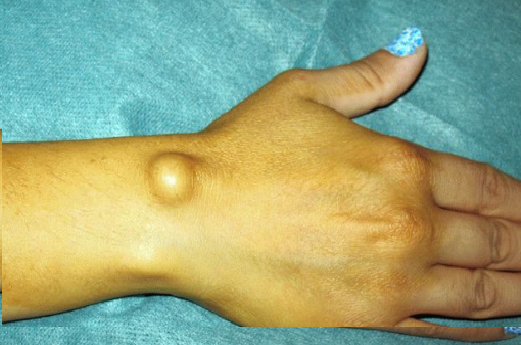 фото: https://real-vin.com