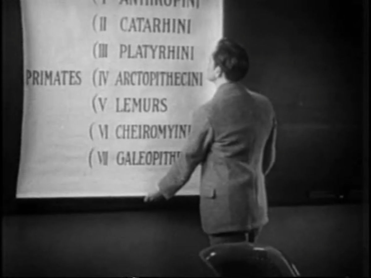 Вот, что на самом деле было на доске. Кадр из фильма «Дикая вечеринка» (1929) 