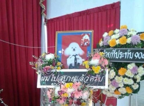 маршал Фу-Фу