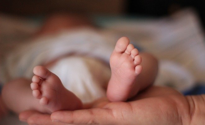 Фото: pixabay.com