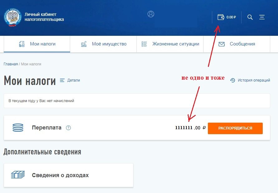 Нулевая декларация в личном кабинете налогоплательщика. Личный кабинет. Мои декларации в личном кабинете. Личный кабинет налогоплательщика. Декларация через личный кабинет.