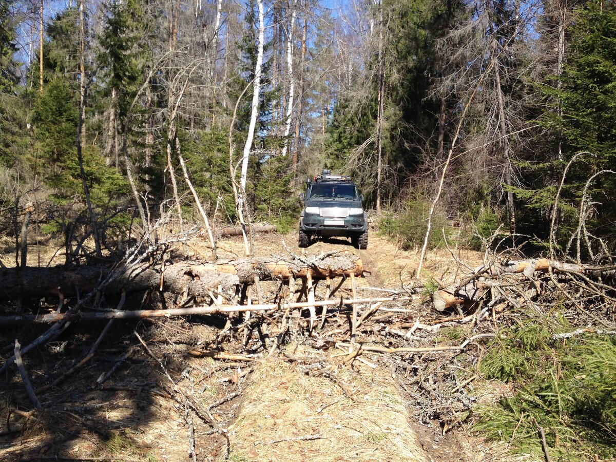Сухих дров было полно еще с зимних поездок, немного привез с собой, пропиливая дорогу.