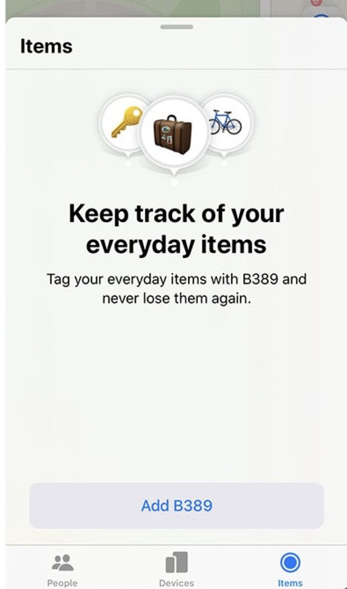 Снимок экрана тестируемого Apple приложения