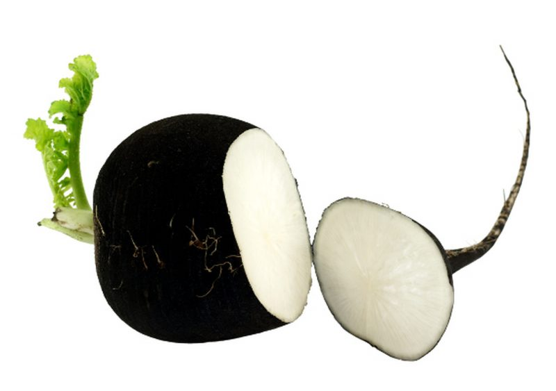 чёрная редька