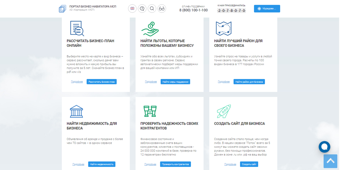 Вот такие карточки портал предлагает начинающему бизнесу .
