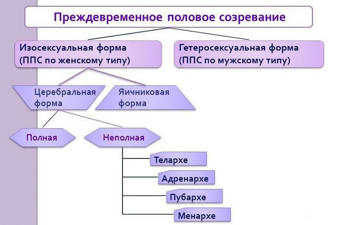 Половое созревание у девочек в картинках