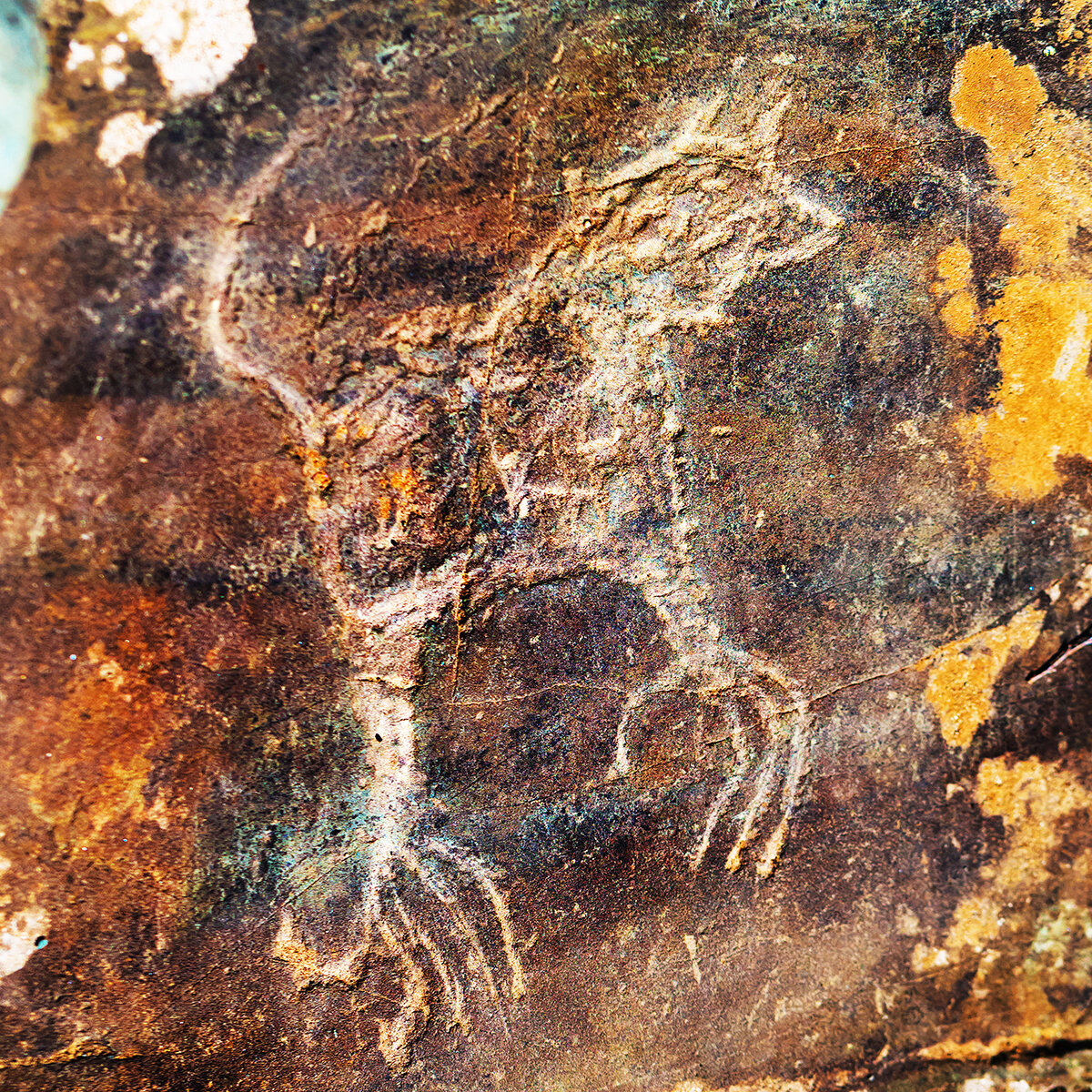 Наскальные рисунки алтай петроглифы