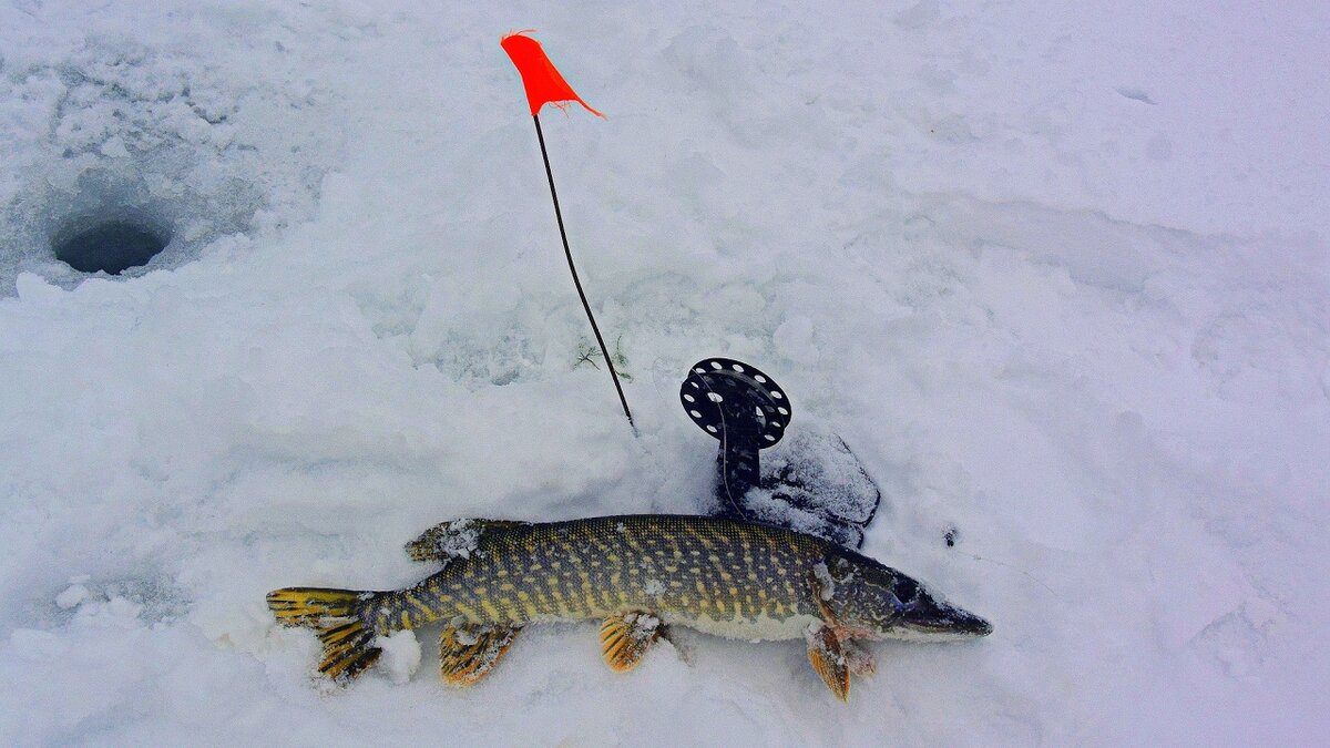 Источник: Яндекс Картинки