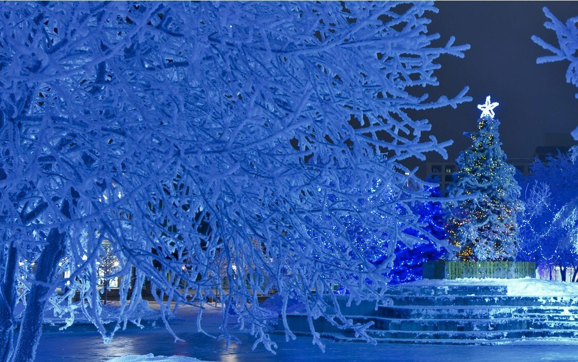 фото яндекс картинки