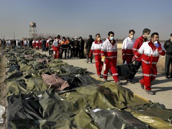 В Совфеде прокомментировали ситуацию с признанием вины Ирана за сбитый самолет.