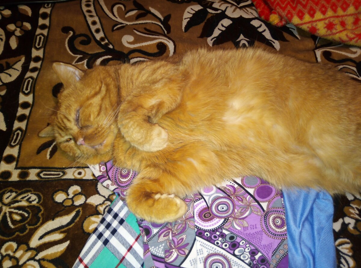 Главное - спокойствие!