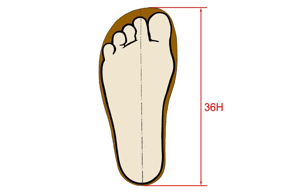 38 размер стопа. 38 Размер ноги. Ступни 36 размера. Размер ноги картинка. 38 Размер ноги женский.