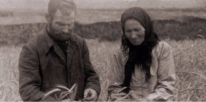 Когда был принят «Закон о трёх колосках», и что предусматривал этот указ 

Толчком к разработке «Указа 7-8» послужило заявление главы государства Иосифа Сталина о том, что в стране сложилась ситуация, когда хищения соцсобственности различными антиобщественными элементами достигли катастрофических масштабов, а законодательство крайне мягкое по отношению к уголовникам. Если умышленное убийство каралось не более чем десятью годами заключения, то наказание за кражу было чуть ли не символическим. Отсюда вытекало, что граждане, уличённые в расхищении колхозного и кооперативного имущества в особо крупных размерах, представали перед судом как обычные воры и получали от силы пару лет тюрьмы, из которых отсиживали всего несколько месяцев. 
Стране нужен был действенный инструмент для борьбы с этой категорией преступников, каковым и стал пресловутый «Указ семь-восемь», он же «Закон о трёх (в ином варианте – пяти) колосках». Законопроект предусматривал жесточайшие меры по отношению к злостным расхитителям. Посягнувшим на колхозное и кооперативное имущество, а также на грузы на государственном транспорте (как железнодорожном, так и водном) грозил расстрел, плюс полная конфискация имущества. Наличие смягчающих обстоятельств позволяло заменить высшую меру сроком свыше десяти лет. Особенностью закона было примечание, что попавшие под его действие нарушители лишаются права на амнистию.
